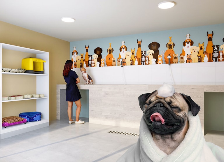 Imágenes referenciales