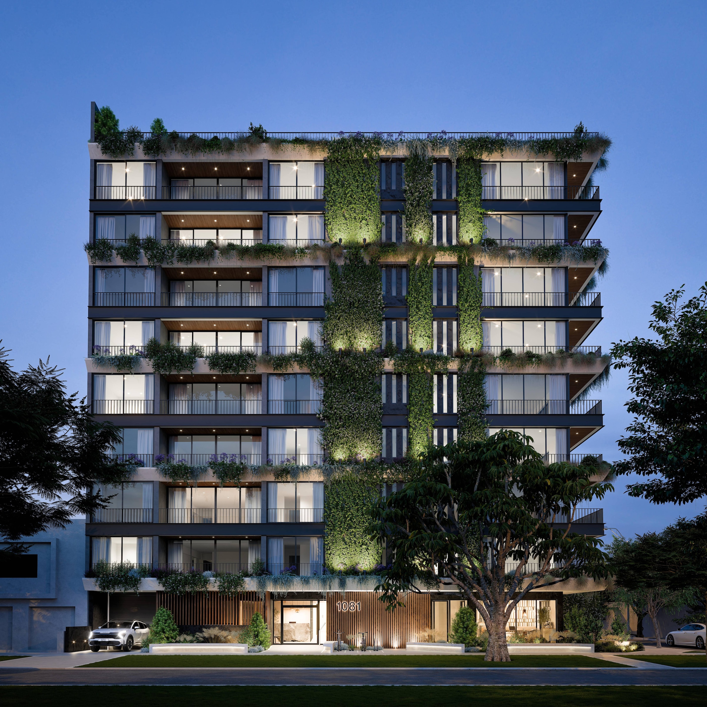 Imágenes referenciales