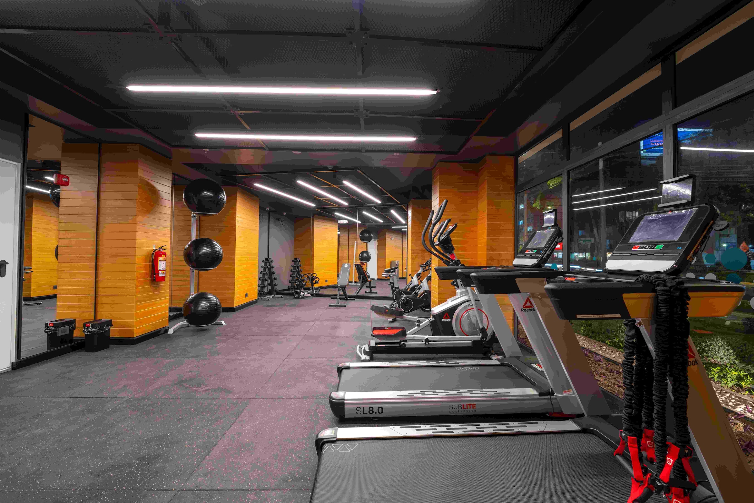 Imágenes referenciales