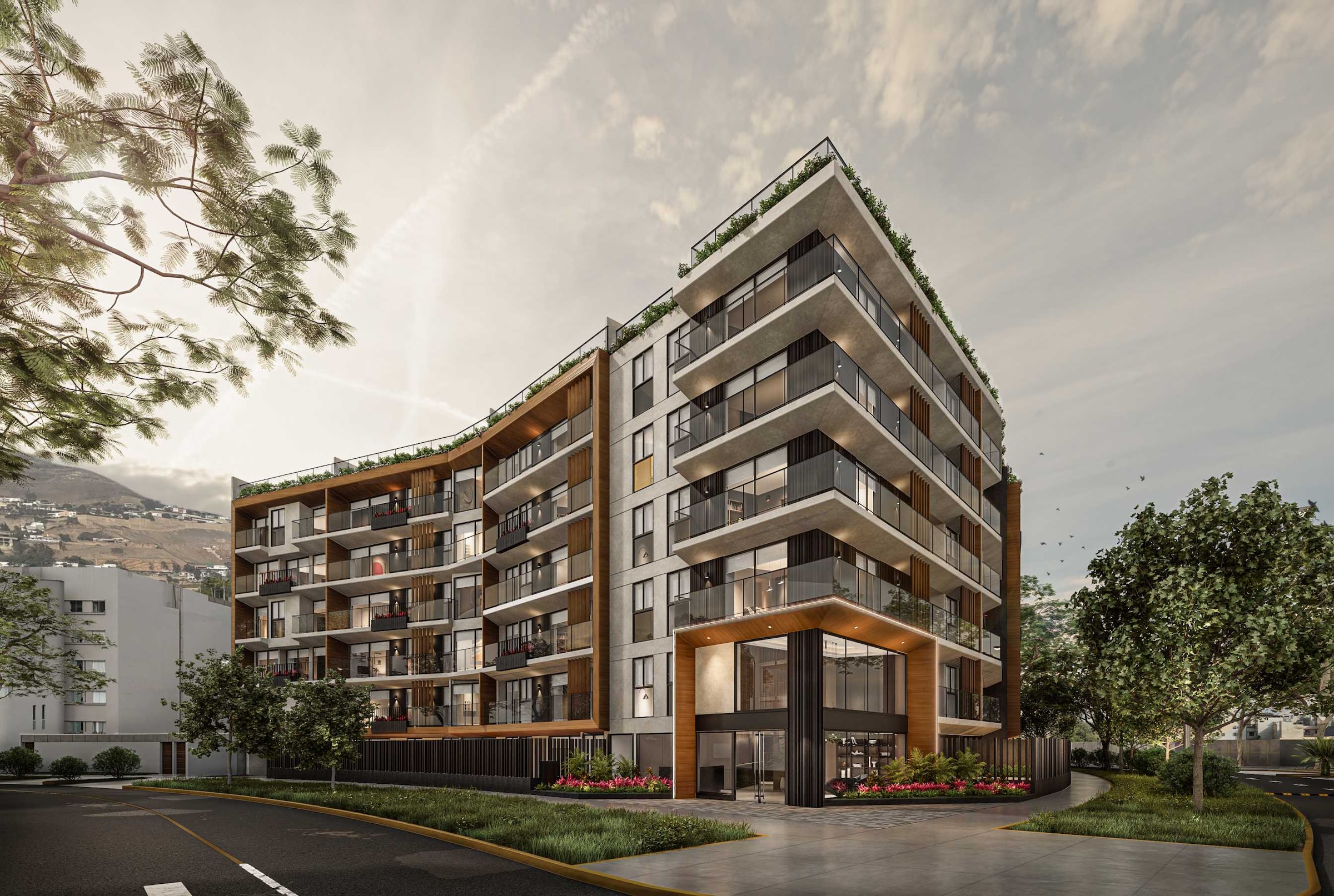 Imágenes referenciales