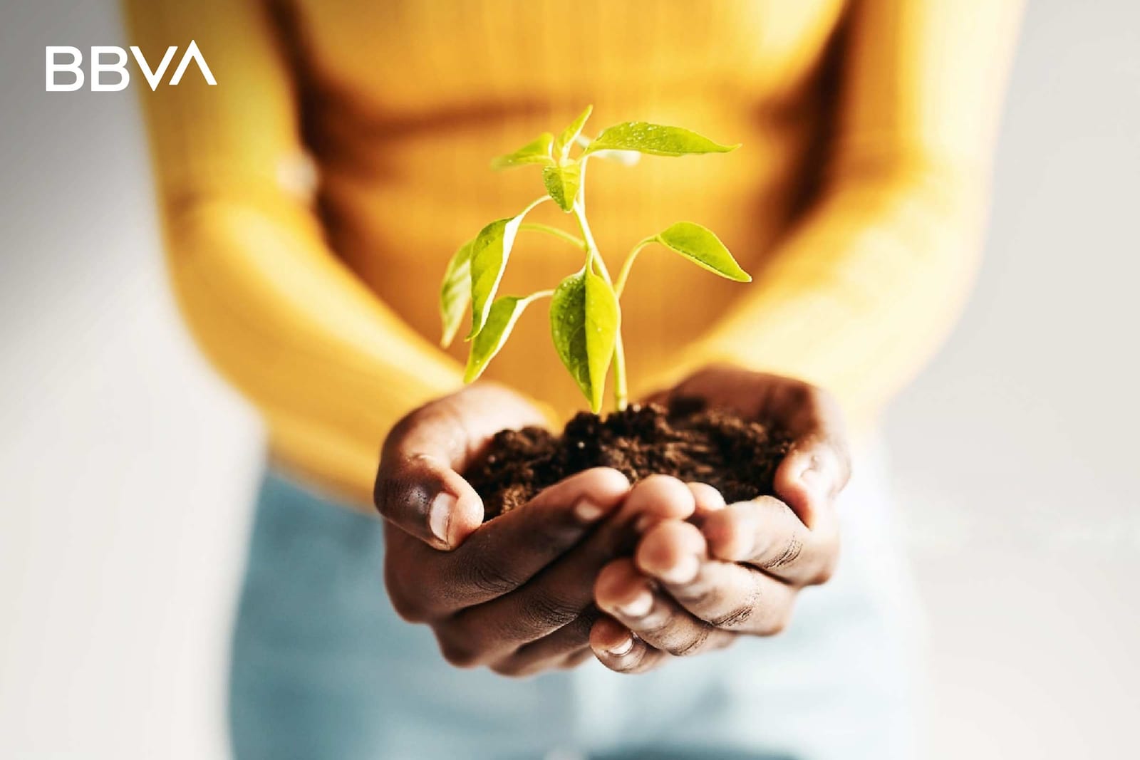 tipo-de-cambio-dolares-bbva