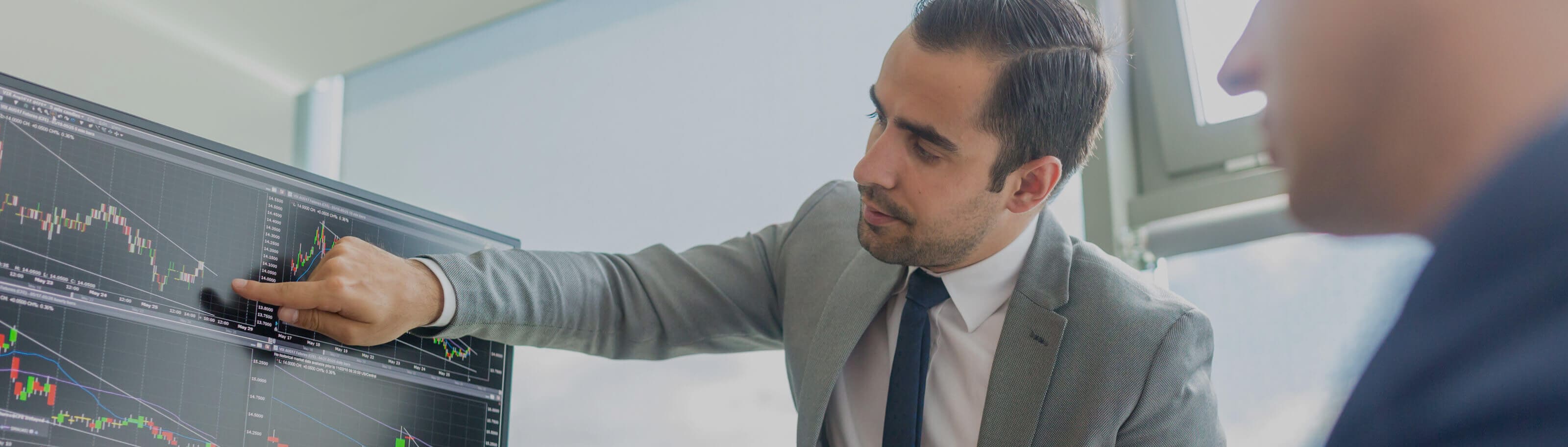 Fondo de Fondos BBVA Selección Estratégica FMIV