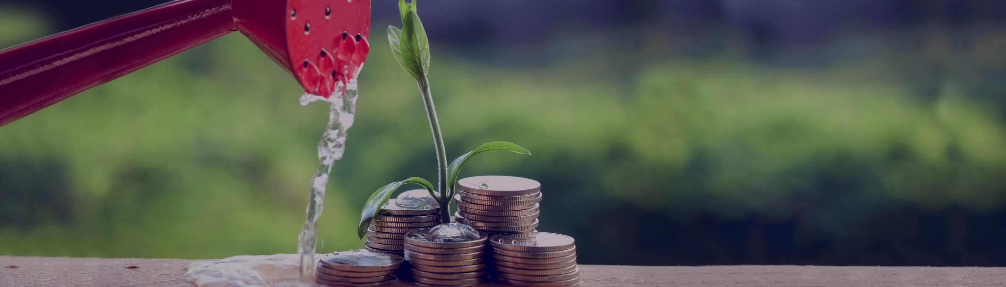 Afíliate al Servicio de Suscripción Programada